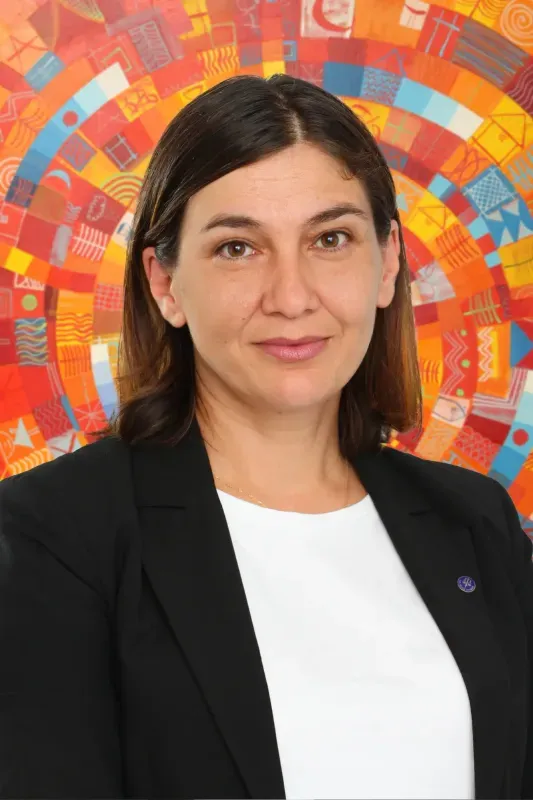 Maestro Abogado Vania Panteleeva