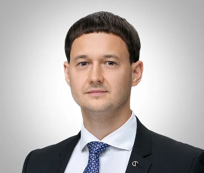 Master Lawyer Marius CEPULIS